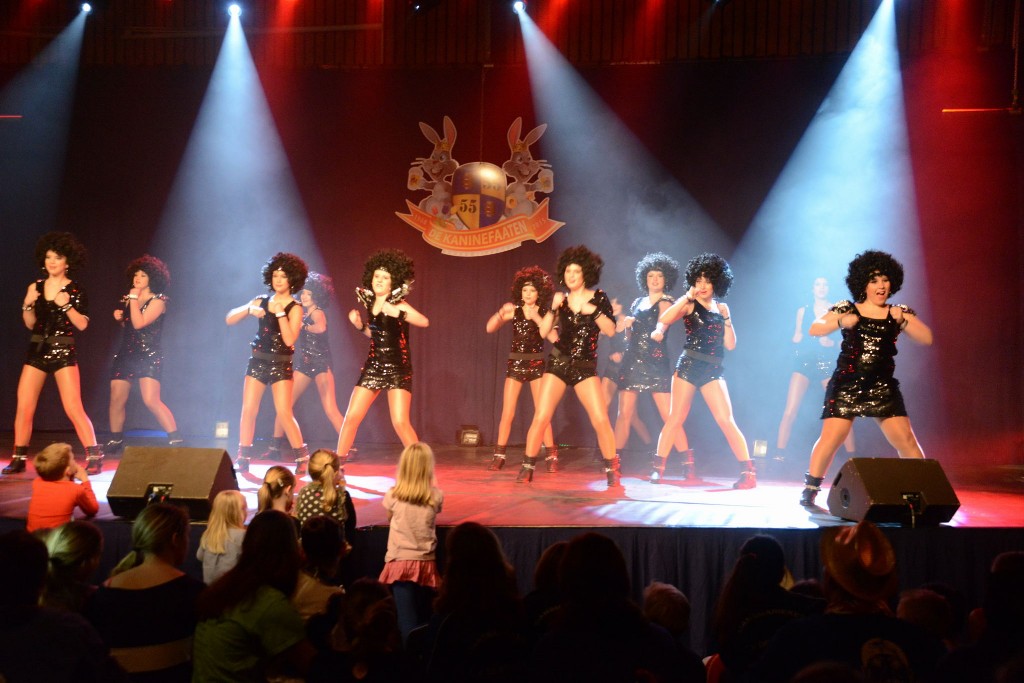 ../Images/Dansmarieke festival 2015 549.jpg
